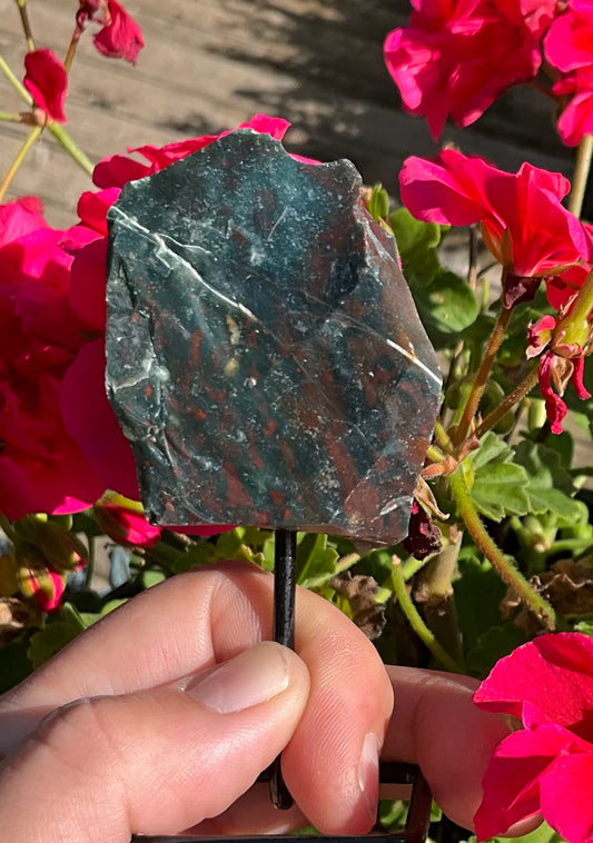 Raw Bloodstone Specimen on Stand