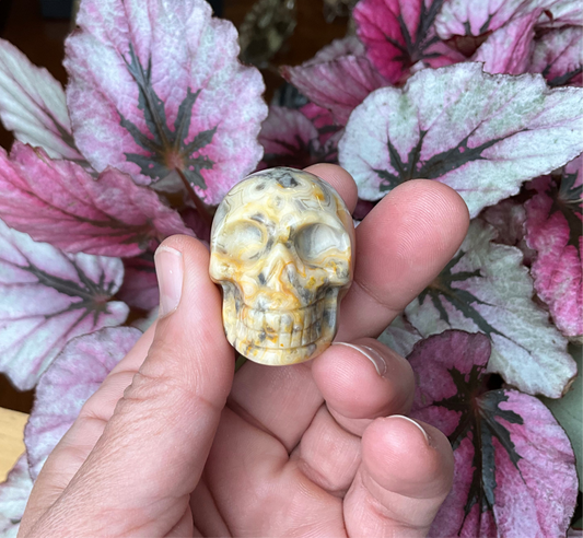Crystal Skulls