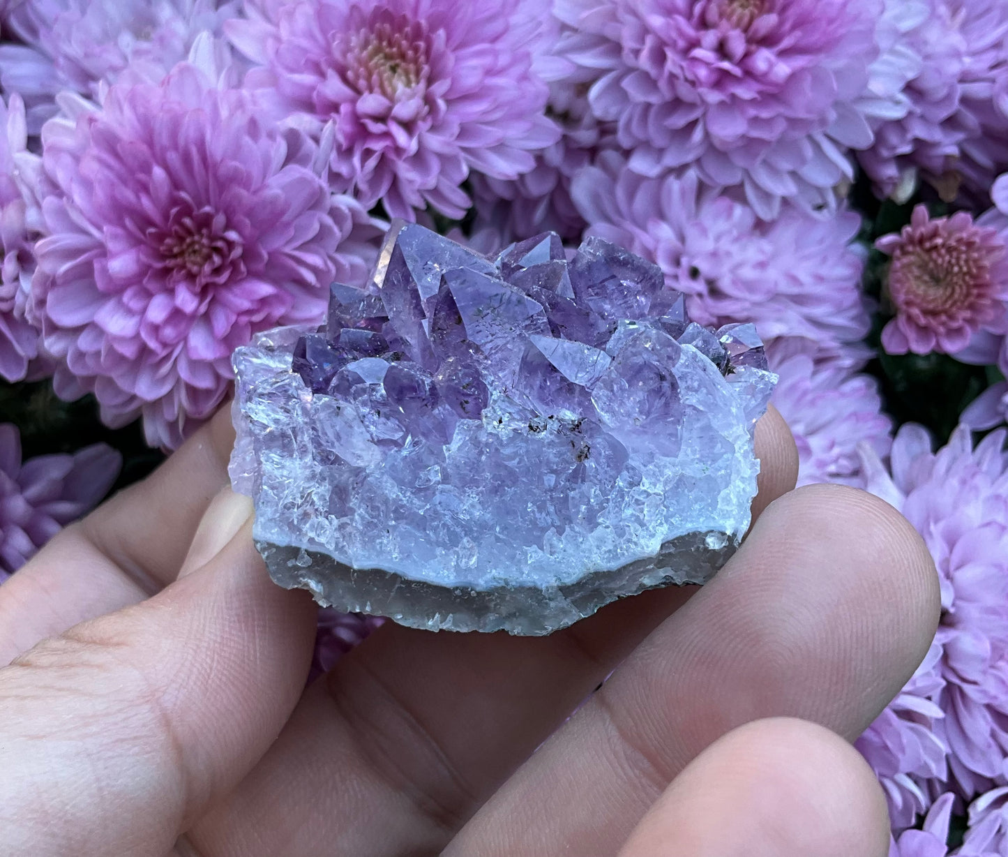 Amethyst Clusters