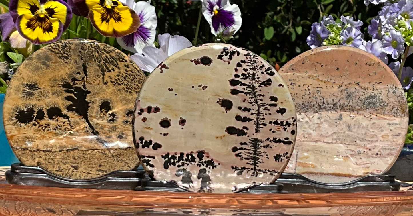 Picture Jasper Round Slabs (on wooden stands)