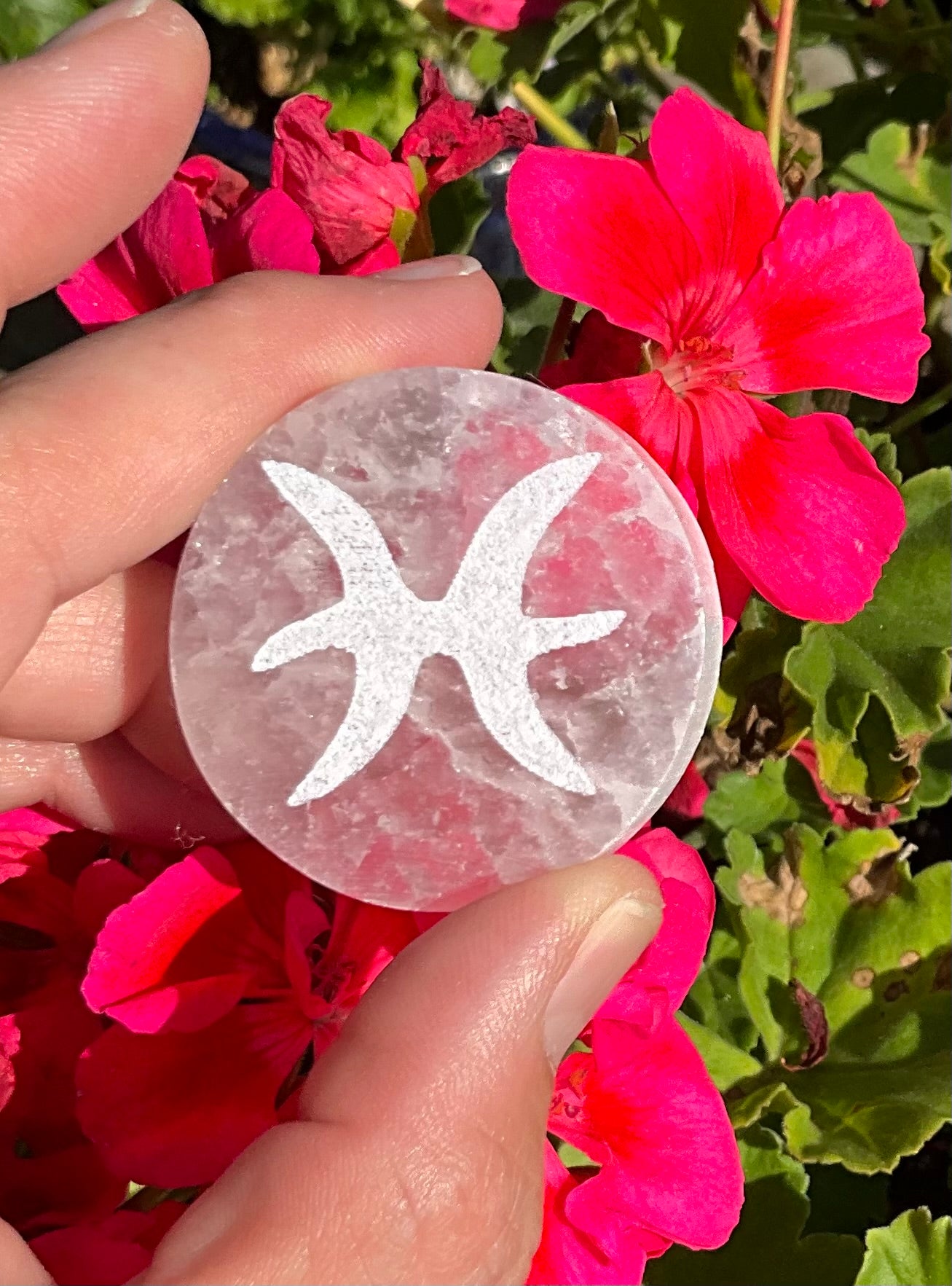 Selenite Zodiac Discs