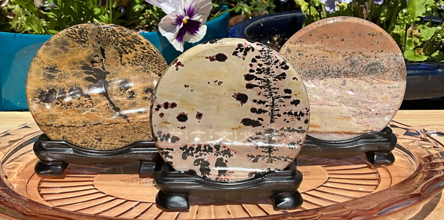 Picture Jasper Round Slabs (on wooden stands)