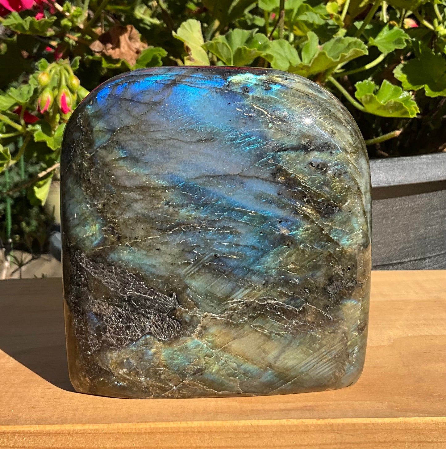 Labradorite Freeform’s