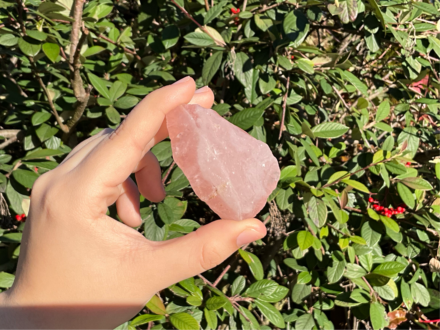 Raw Rose Quartz Crystals