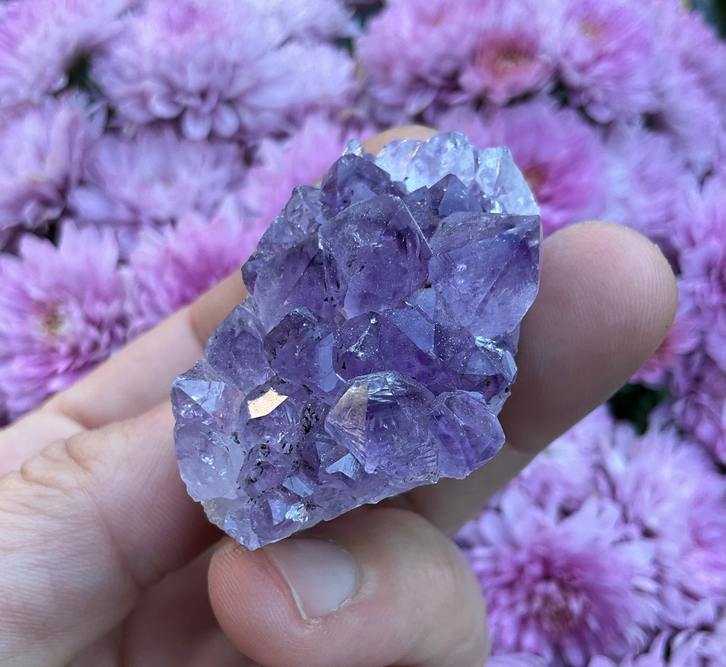 Amethyst Clusters