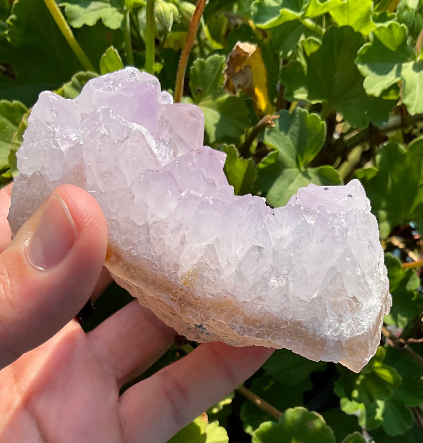 Icy Amethyst Cluster