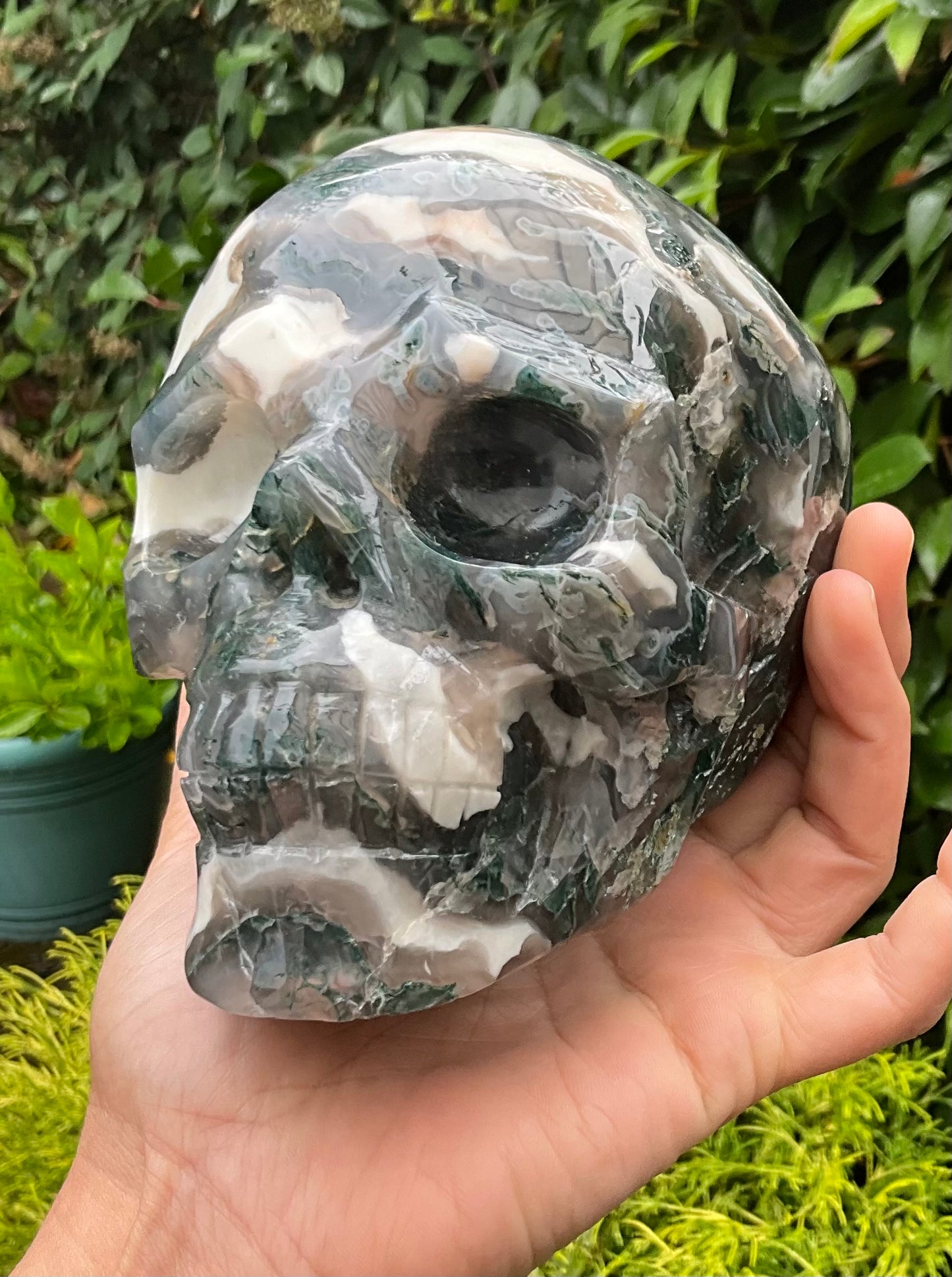 Large Moss Agate Skull