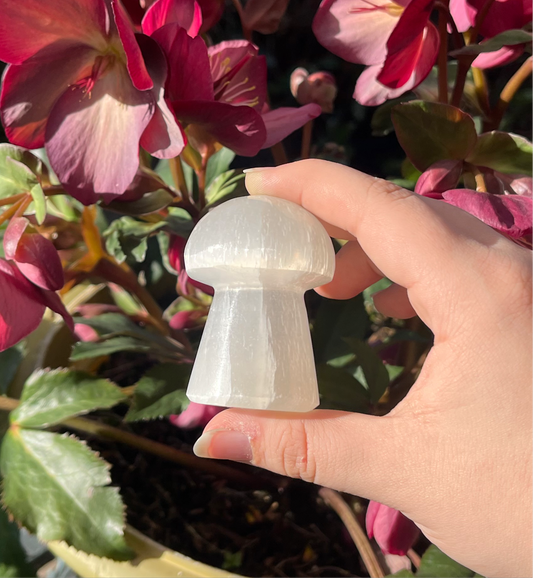 Selenite (Satin Spar) Mushroom Carvings