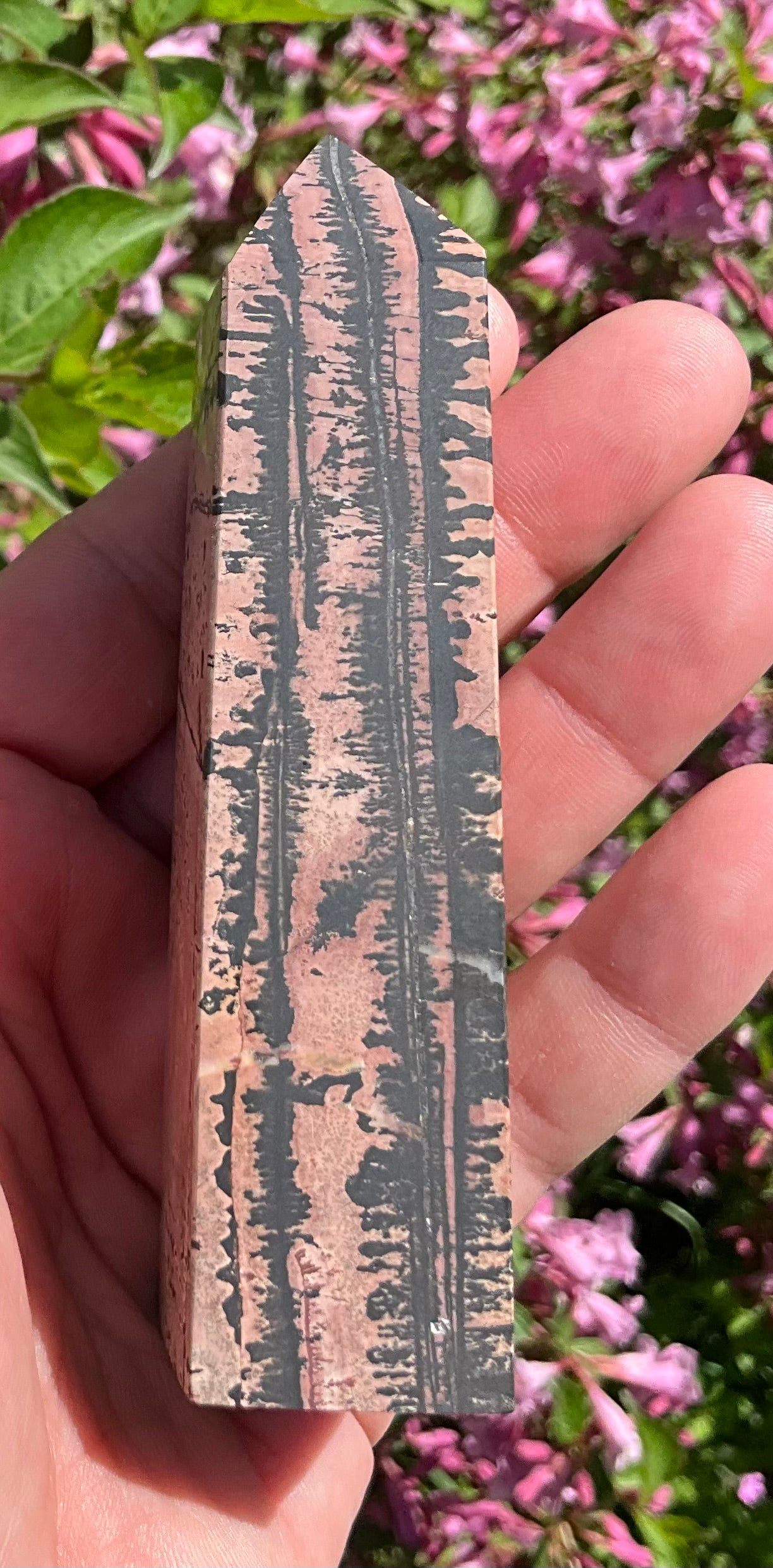 Picture Jasper Towers