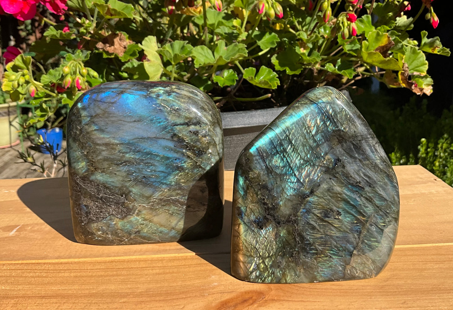 Labradorite Freeform’s