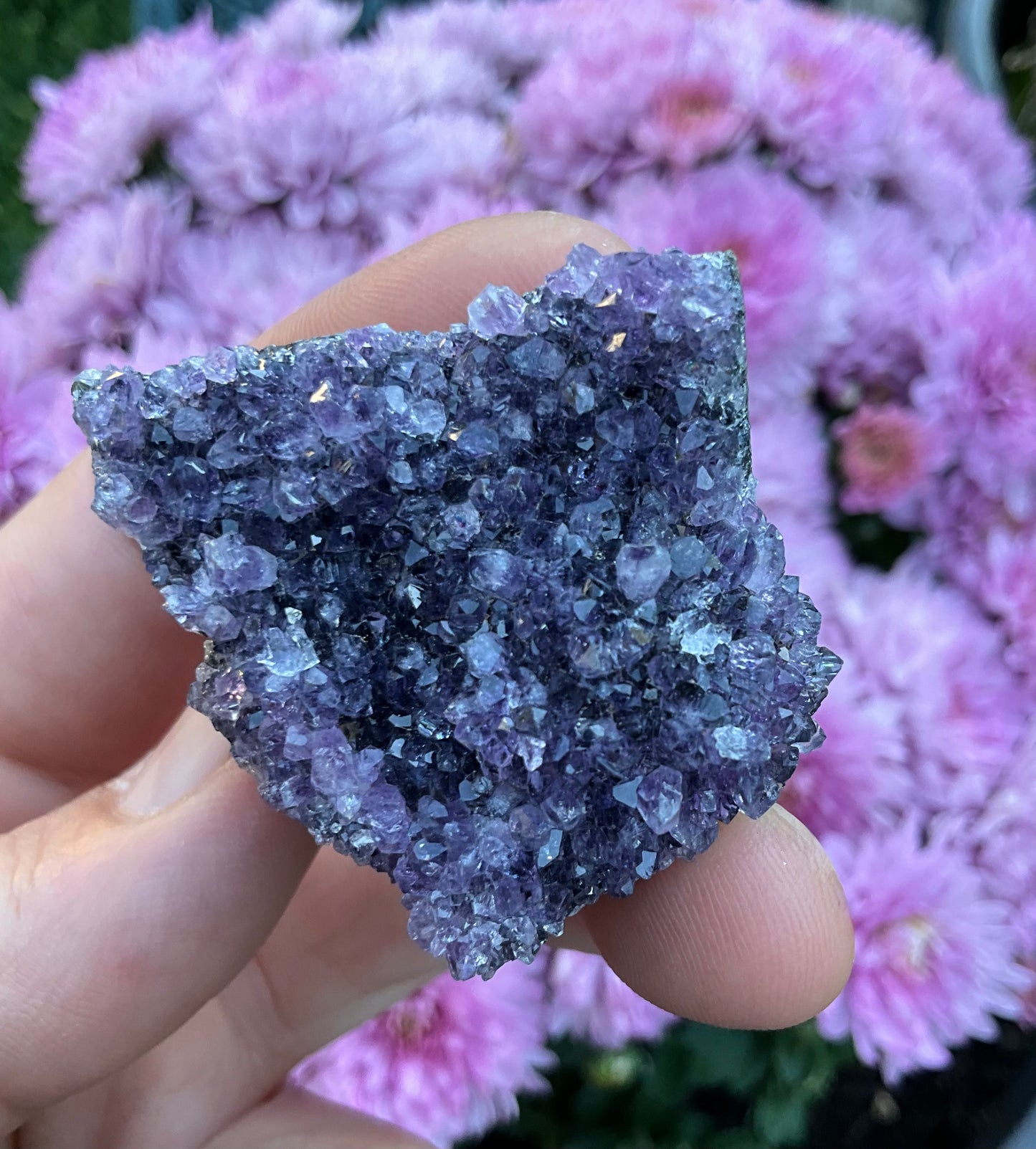 Amethyst Clusters