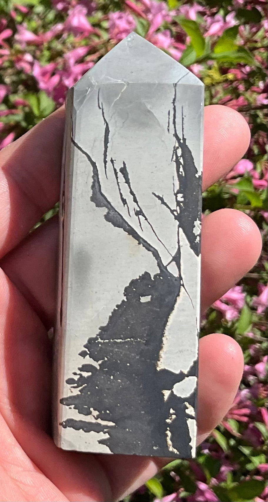 Picture Jasper Towers