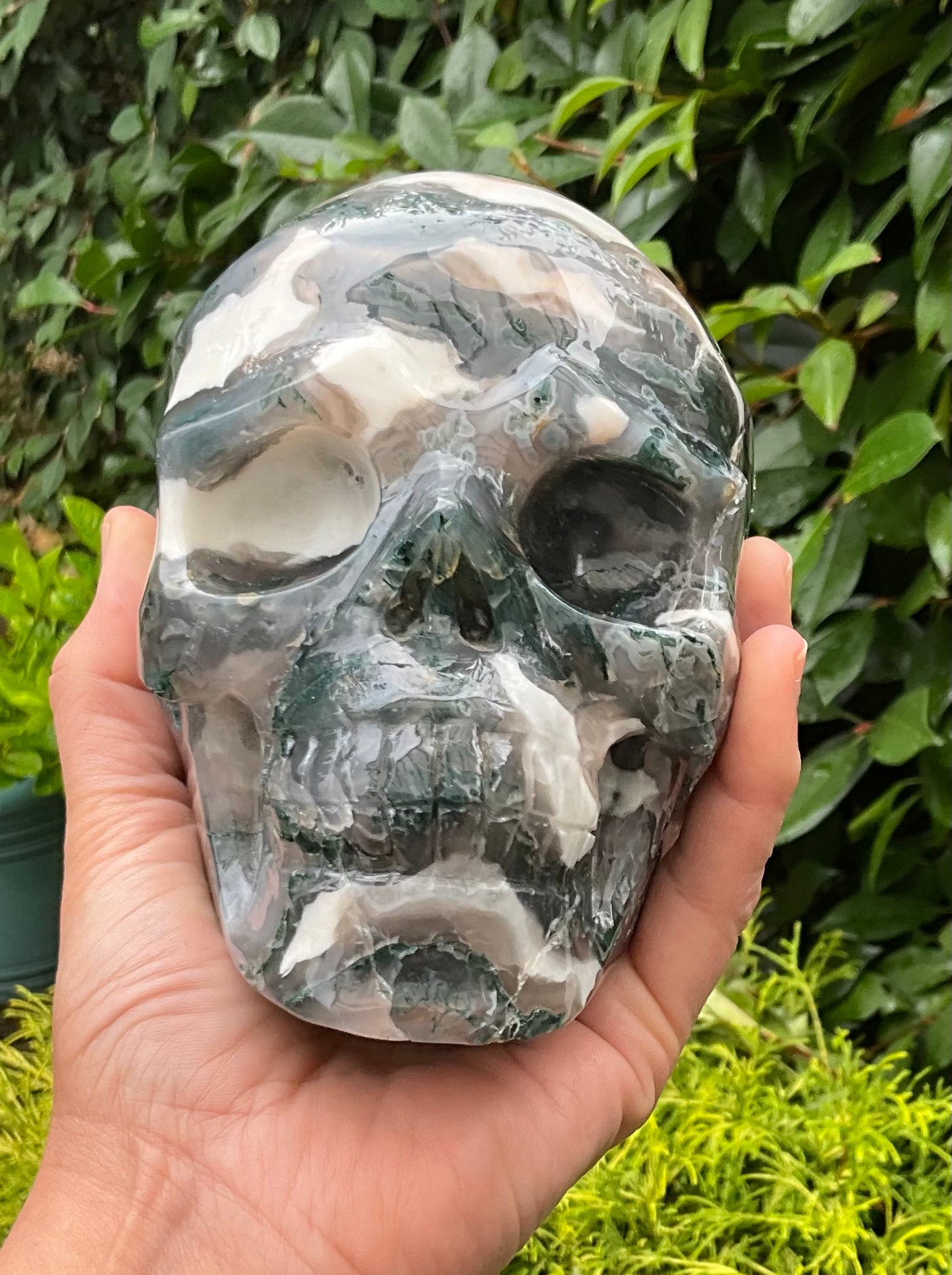 Large Moss Agate Skull