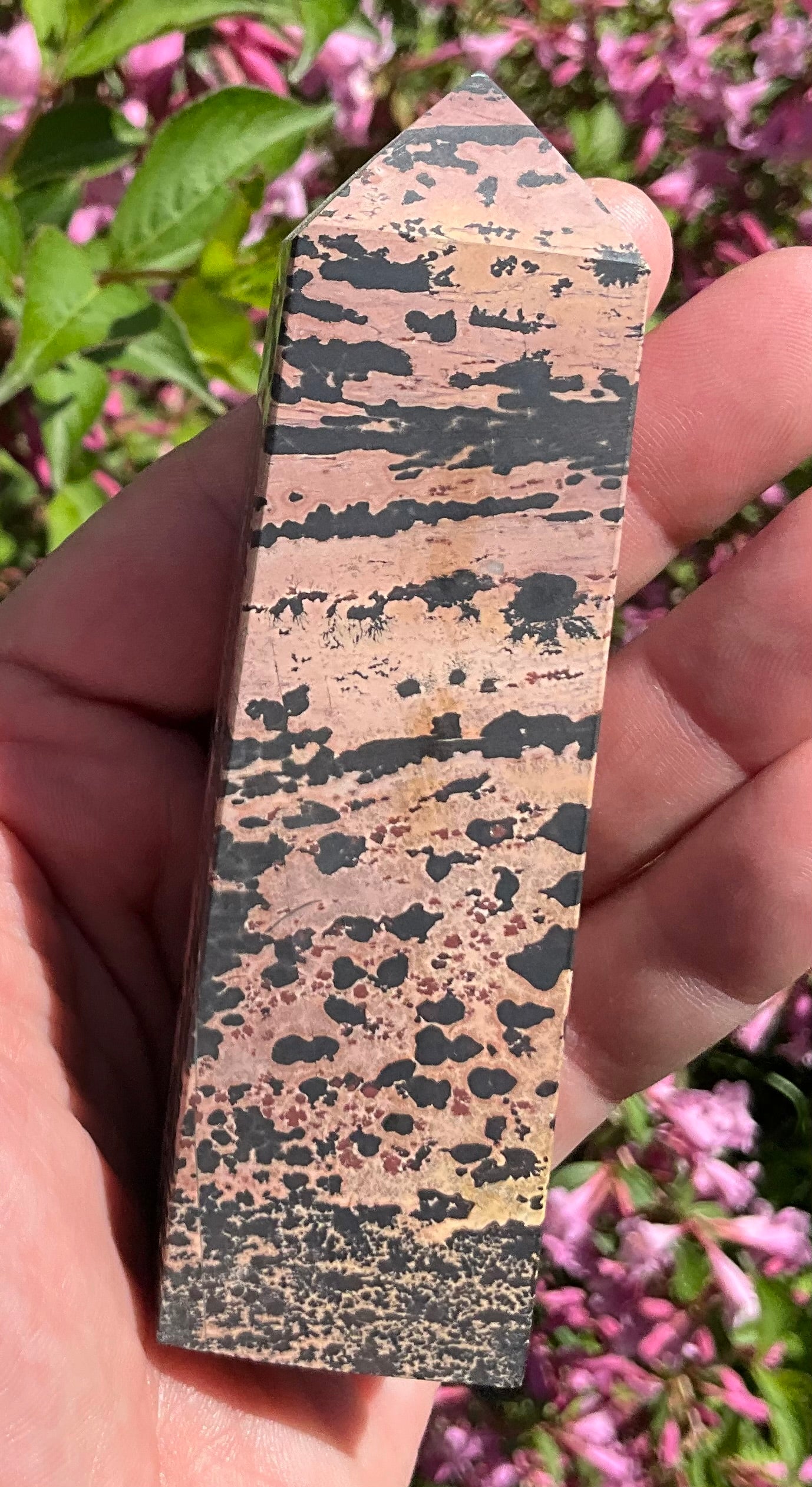 Picture Jasper Towers