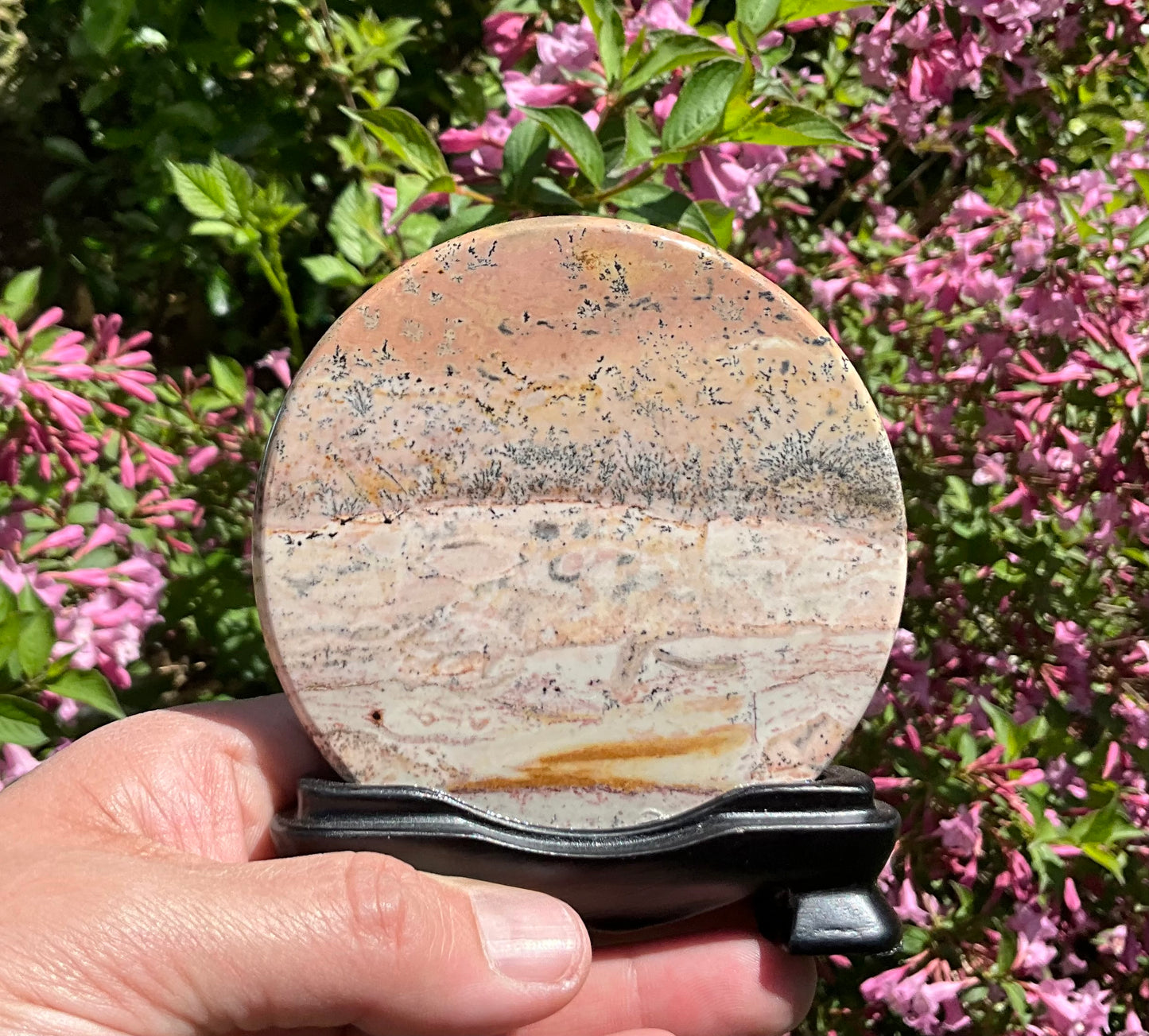 Picture Jasper Round Slabs (on wooden stands)
