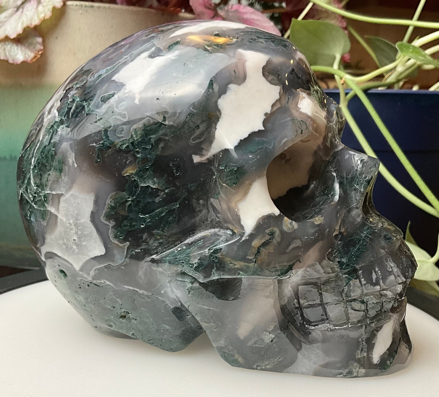 Large Moss Agate Skull
