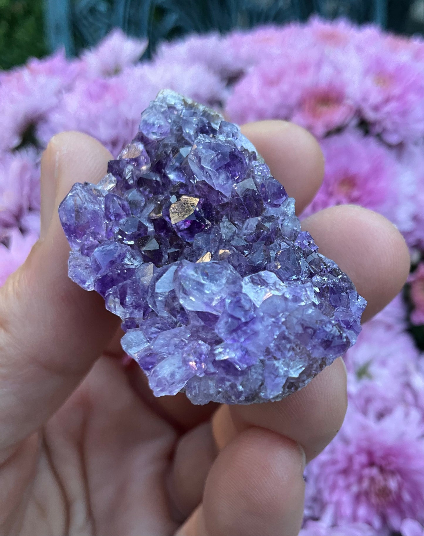 Amethyst Clusters