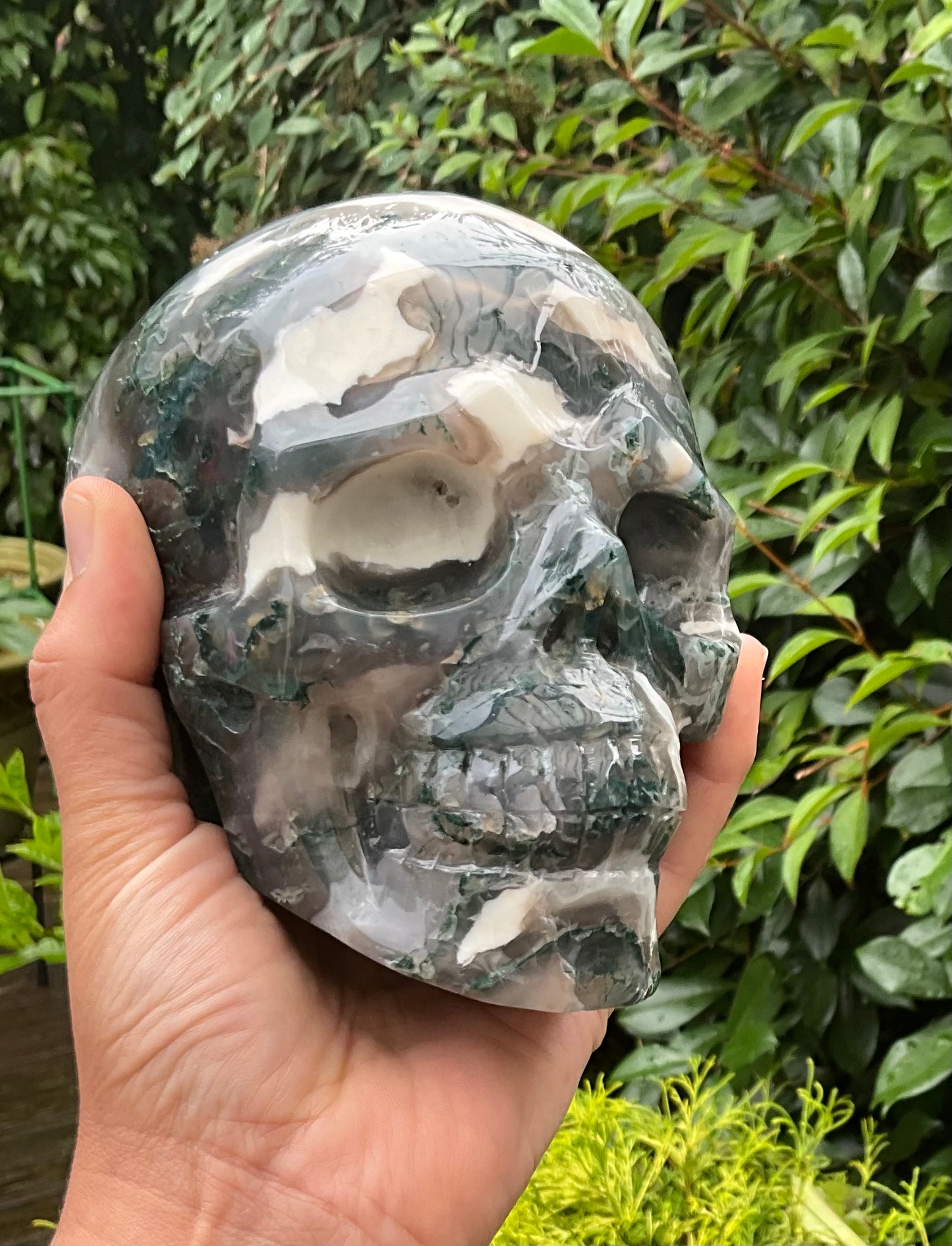 Large Moss Agate Skull