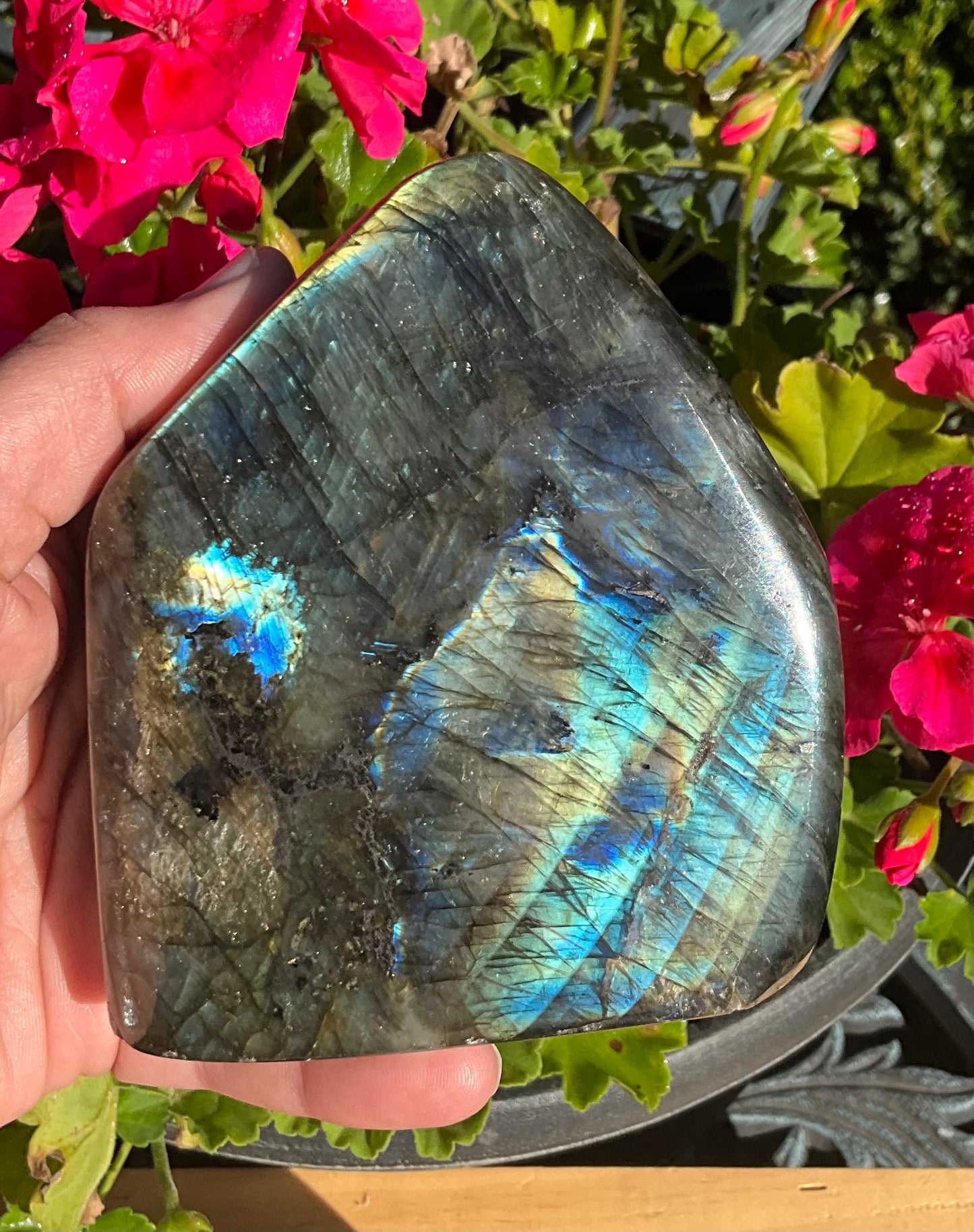 Labradorite Freeform’s