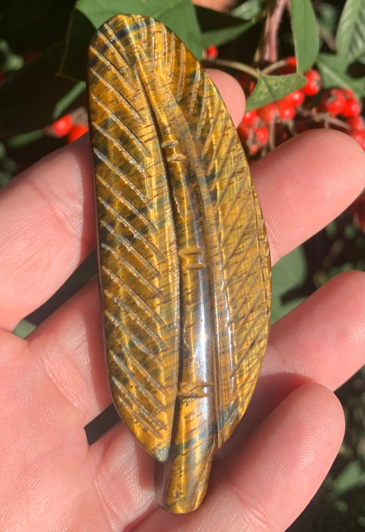 Tiger’s Eye Feather Carving