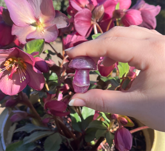 Magenta Fluorite Crystal Mushroom Carvings