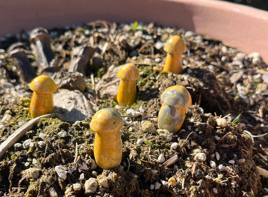 Bumblebee Jasper Crystal Mushrooms