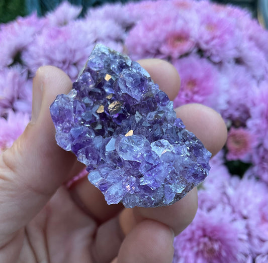 Amethyst Clusters