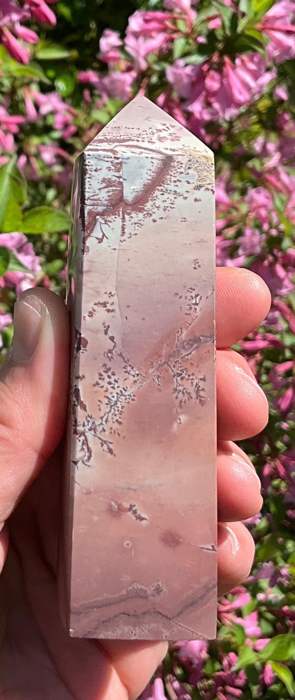 Picture Jasper Towers