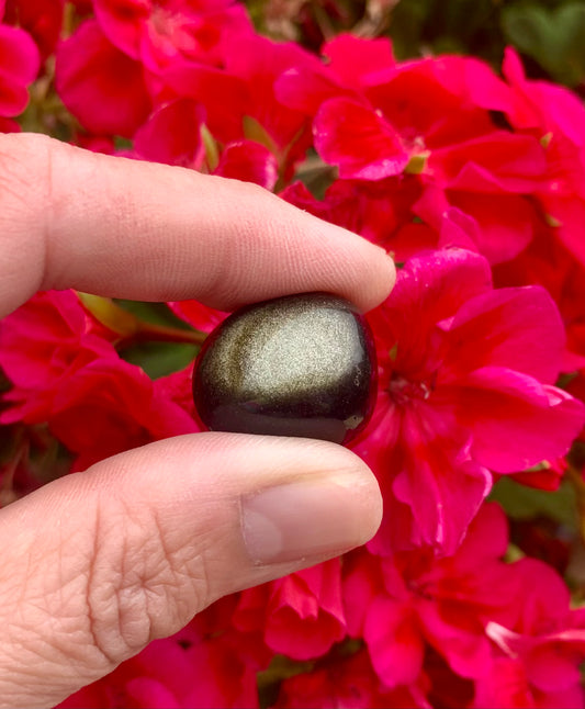 Silver Sheen Obsidian Tumbled Crystals