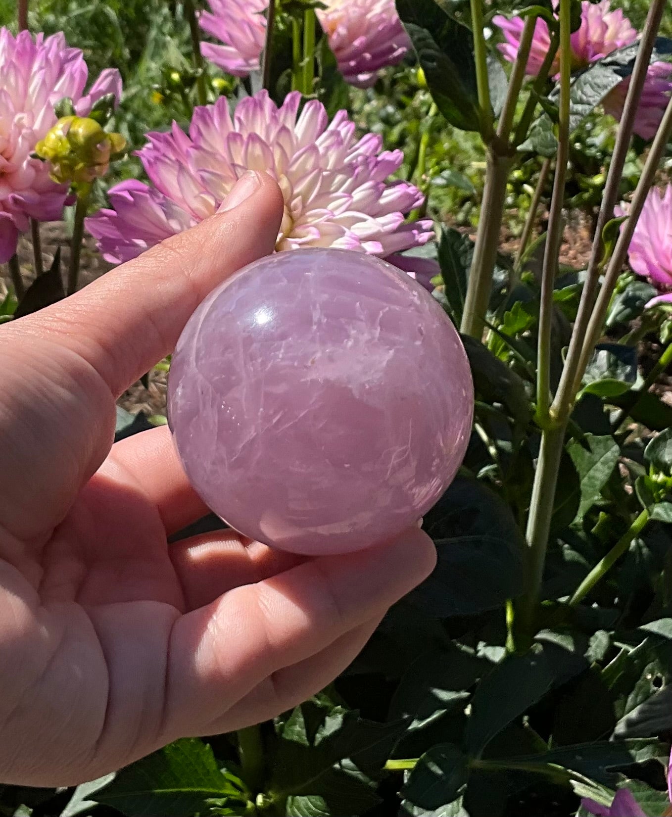 Lavender Rose Quartz Spheres