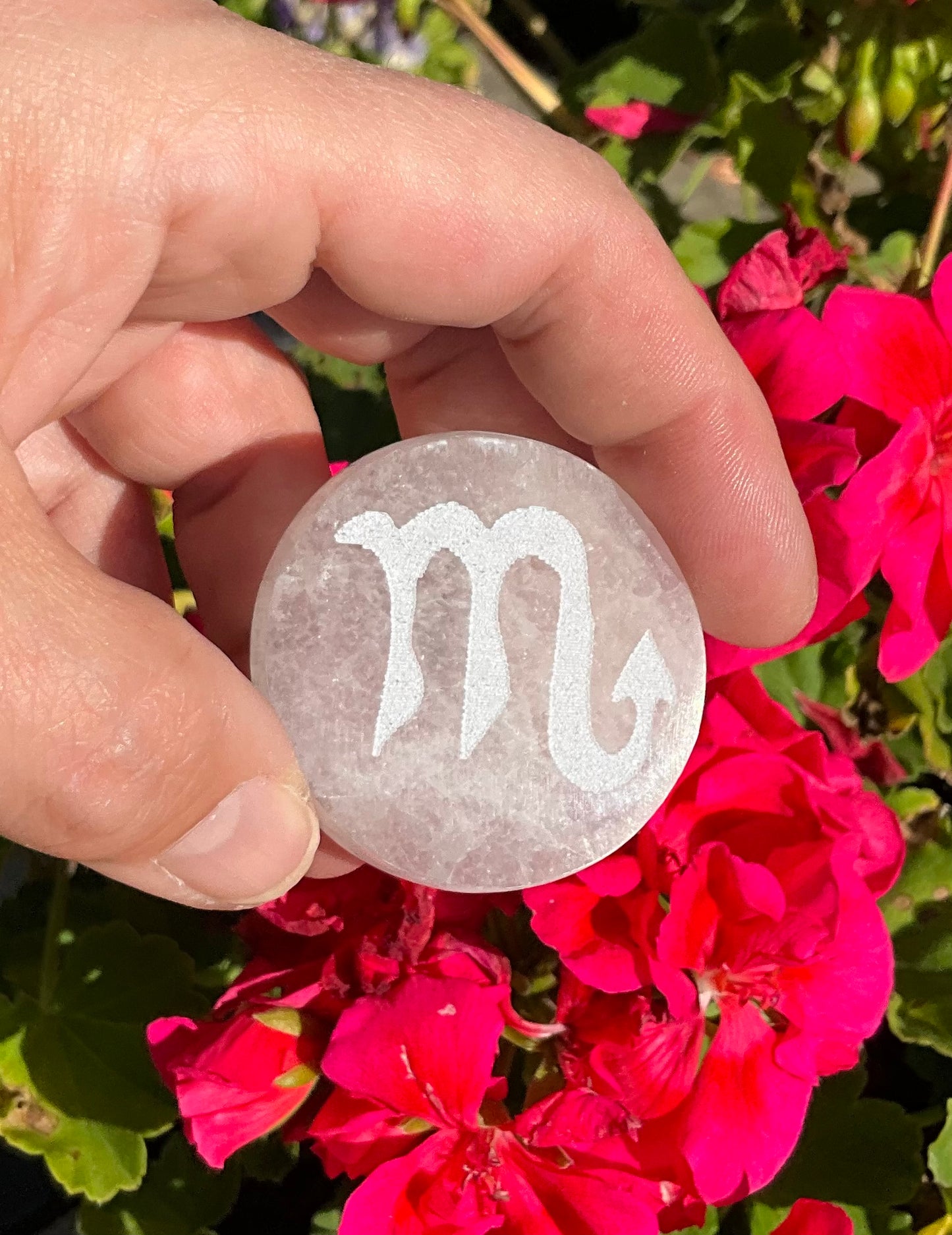 Selenite Zodiac Discs