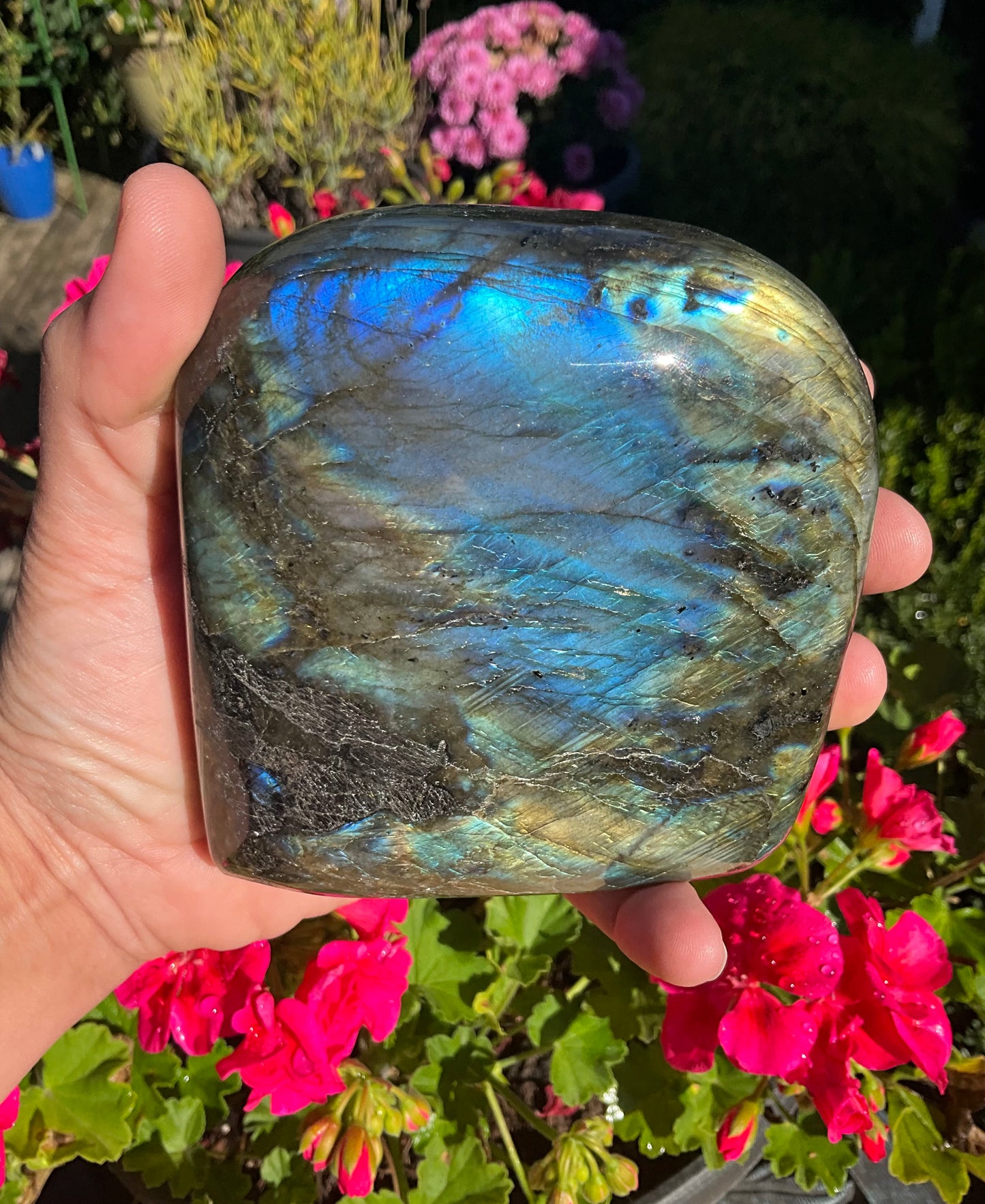 Labradorite Freeform’s