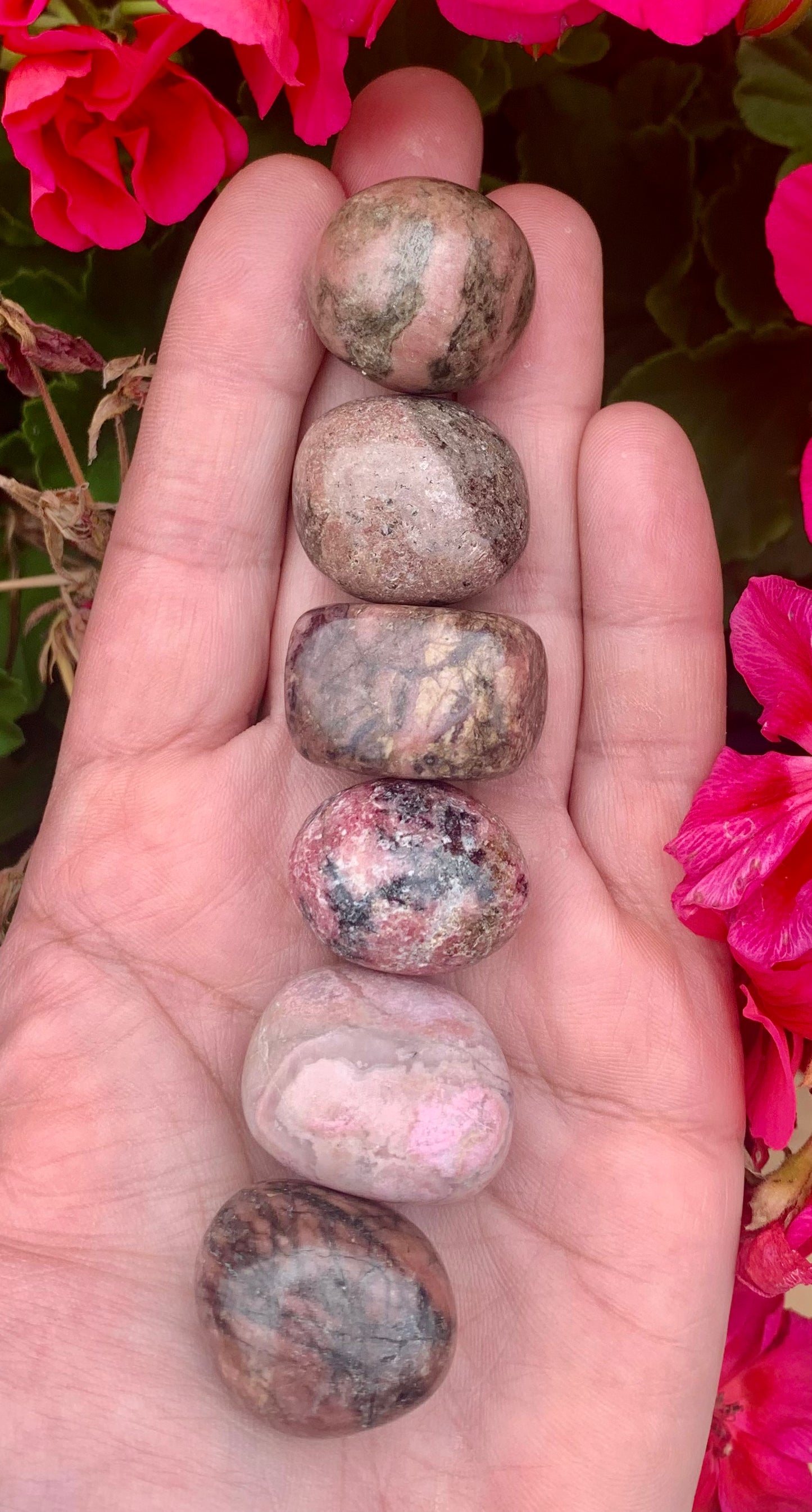 Rhodonite Tumbled Crystals