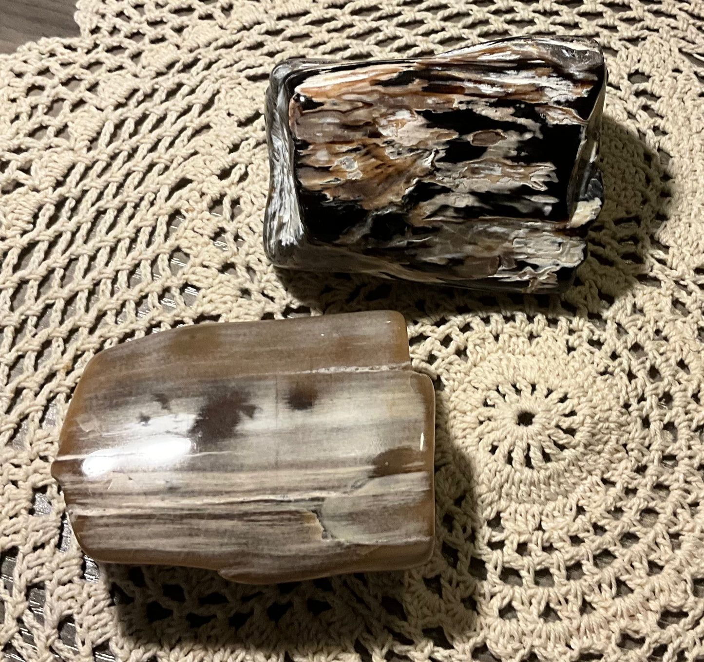 Polished Petrified Wood