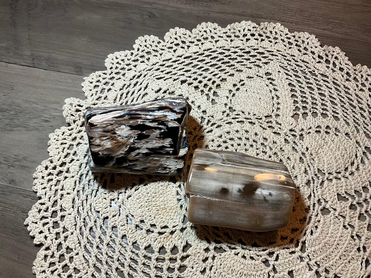 Polished Petrified Wood
