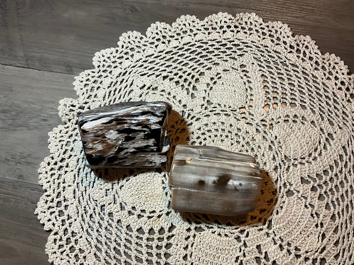 Polished Petrified Wood