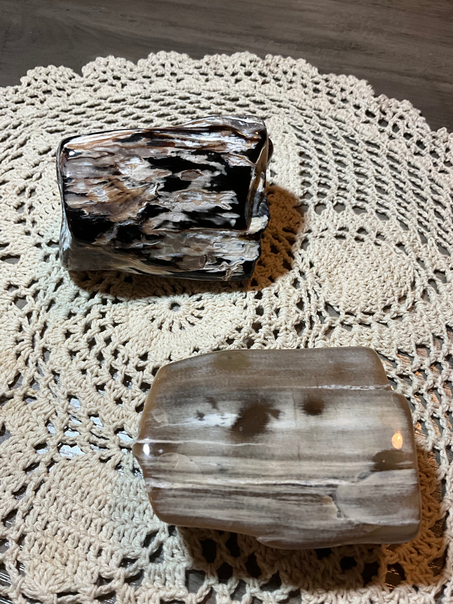 Polished Petrified Wood