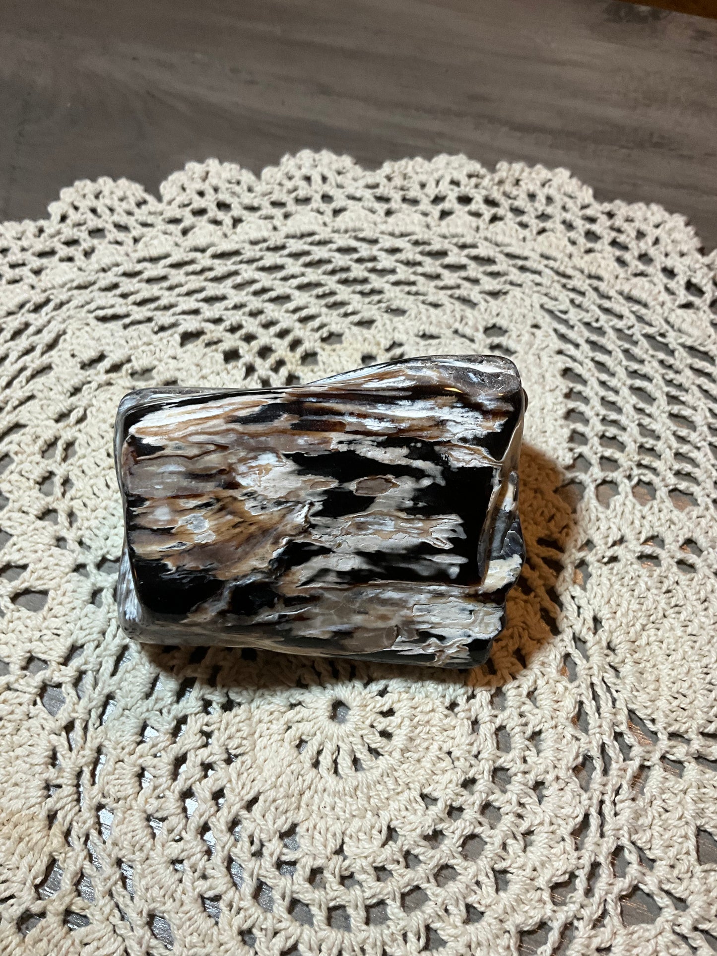 Polished Petrified Wood