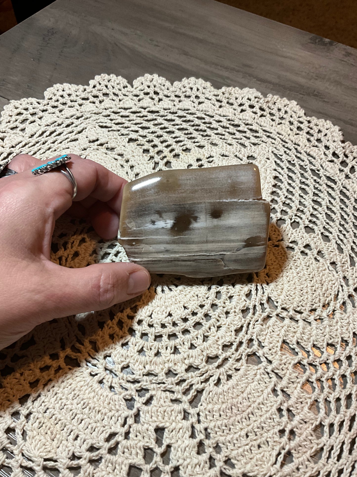 Polished Petrified Wood