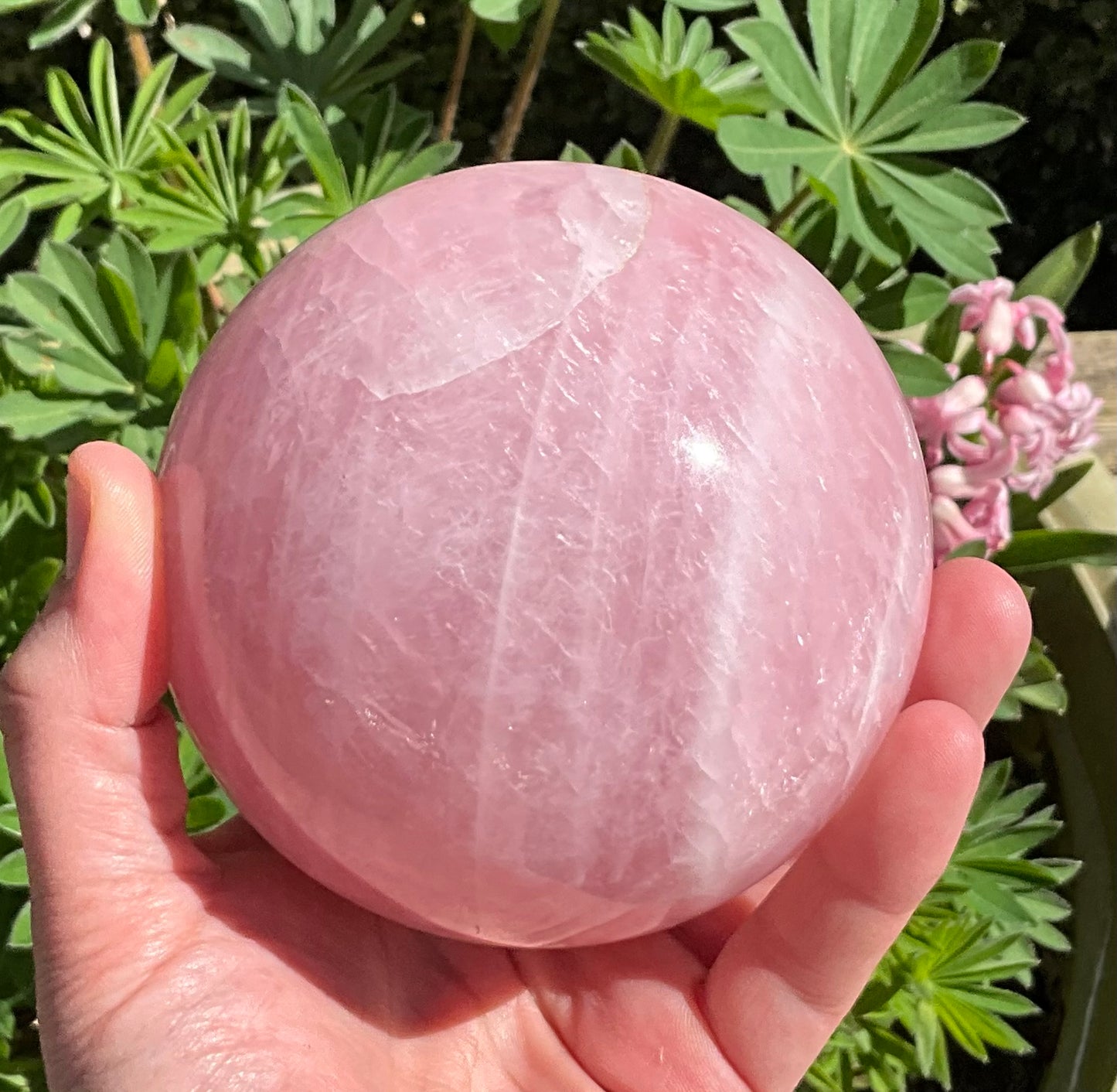 Rose Quartz Sphere from Madagascar